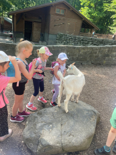 Fotogalerie Výlet do ZOO Ostrava , foto č. 24