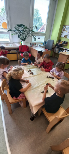 Fotogalerie Život na louce - 1. třída, foto č. 32