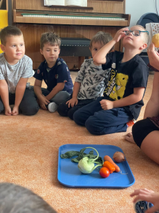 Fotogalerie Ovoce a zelenina v naší mateřské škole  - 3. třída, foto č. 17