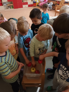 Fotogalerie Ovoce a zelenina v naší mateřské škole - 2. třída, foto č. 13